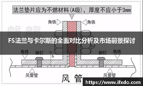 FS法兰与卡尔斯的全面对比分析及市场前景探讨