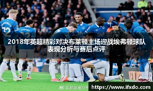 2018年英超精彩对决布莱顿主场迎战埃弗顿球队表现分析与赛后点评